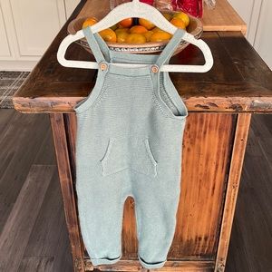 Little Planet Organic Knit Overalls